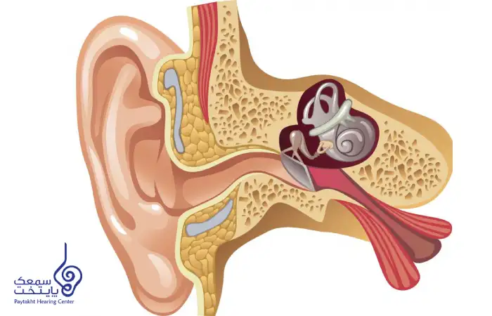 اختلال شیپور استاش گوش